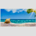 Reptile Realm Aqua Natural Hermit Beach Poster Background