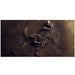 Reptile Realm Aqua Natural Jurassic Bones Poster Background