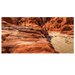 Reptile Realm Aqua Natural Kimberley Desert Poster Background