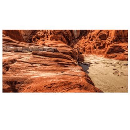Reptile Realm Aqua Natural Kimberley Desert Poster Background
