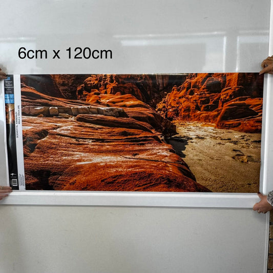 Reptile Realm Aqua Natural Kimberley Desert Poster Background