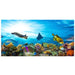 Reptile Realm Aqua Natural Marine Reef Poster Background