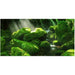 Reptile Realm Aqua Natural Moss Boulder Forest Poster Background
