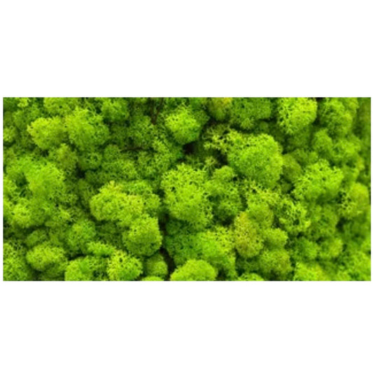 Reptile Realm Aqua Natural Moss Wall Poster Background