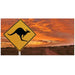 Reptile Realm Aqua Natural Outback Kangarooo Poster Background