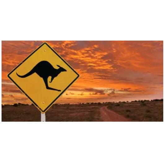 Reptile Realm Aqua Natural Outback Kangarooo Poster Background