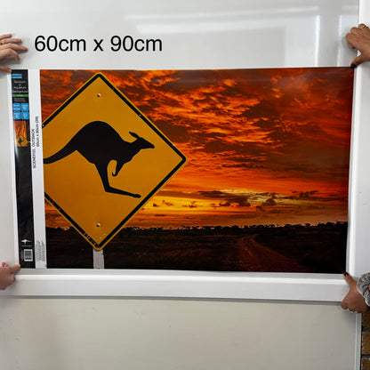 Reptile Realm Aqua Natural Outback Kangarooo Poster Background