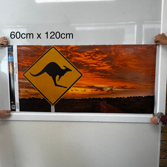 Reptile Realm Aqua Natural Outback Kangarooo Poster Background