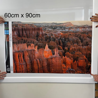 Reptile Realm Aqua Natural Red Canyon Poster Background