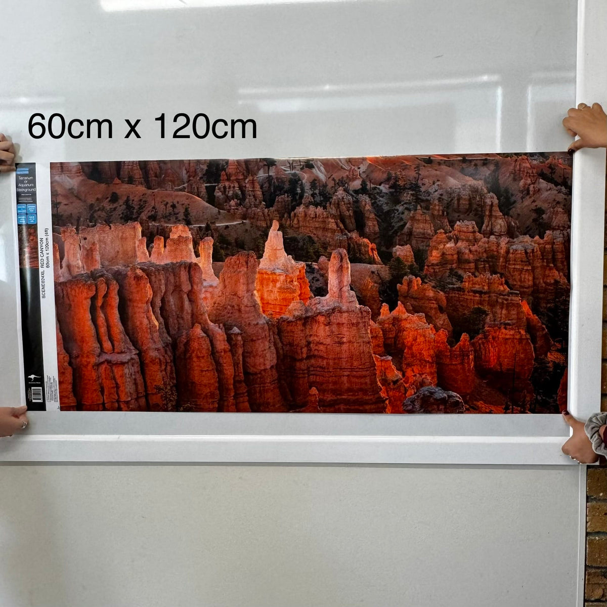 Reptile Realm Aqua Natural Red Canyon Poster Background