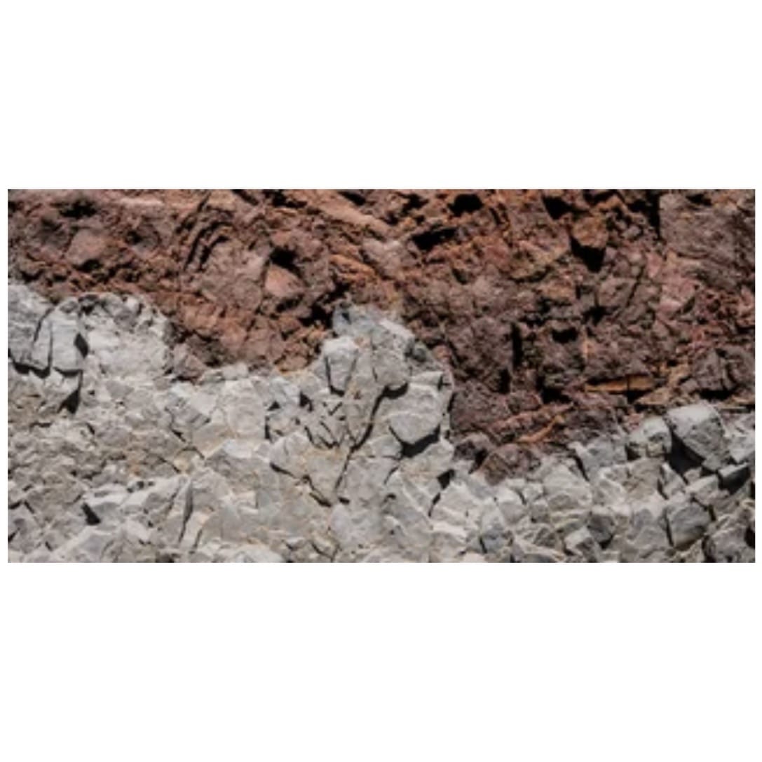 Reptile Realm Aqua Natural Rock Wall in Two Tones Poster Background