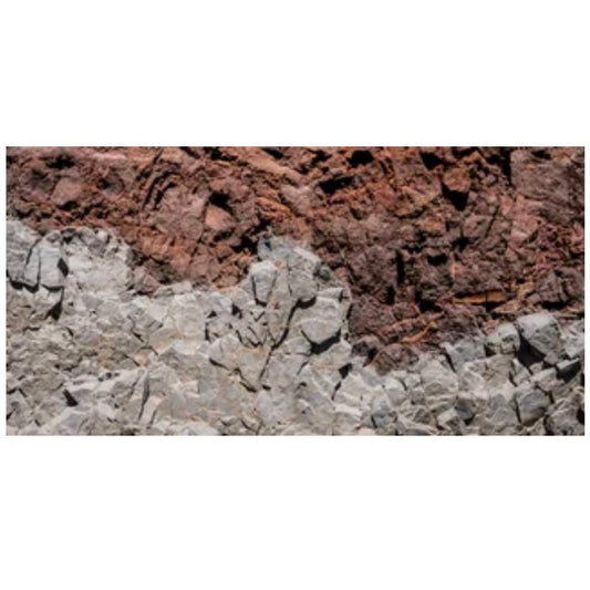 Reptile Realm Aqua Natural Rock Wall in Two Tones Poster Background