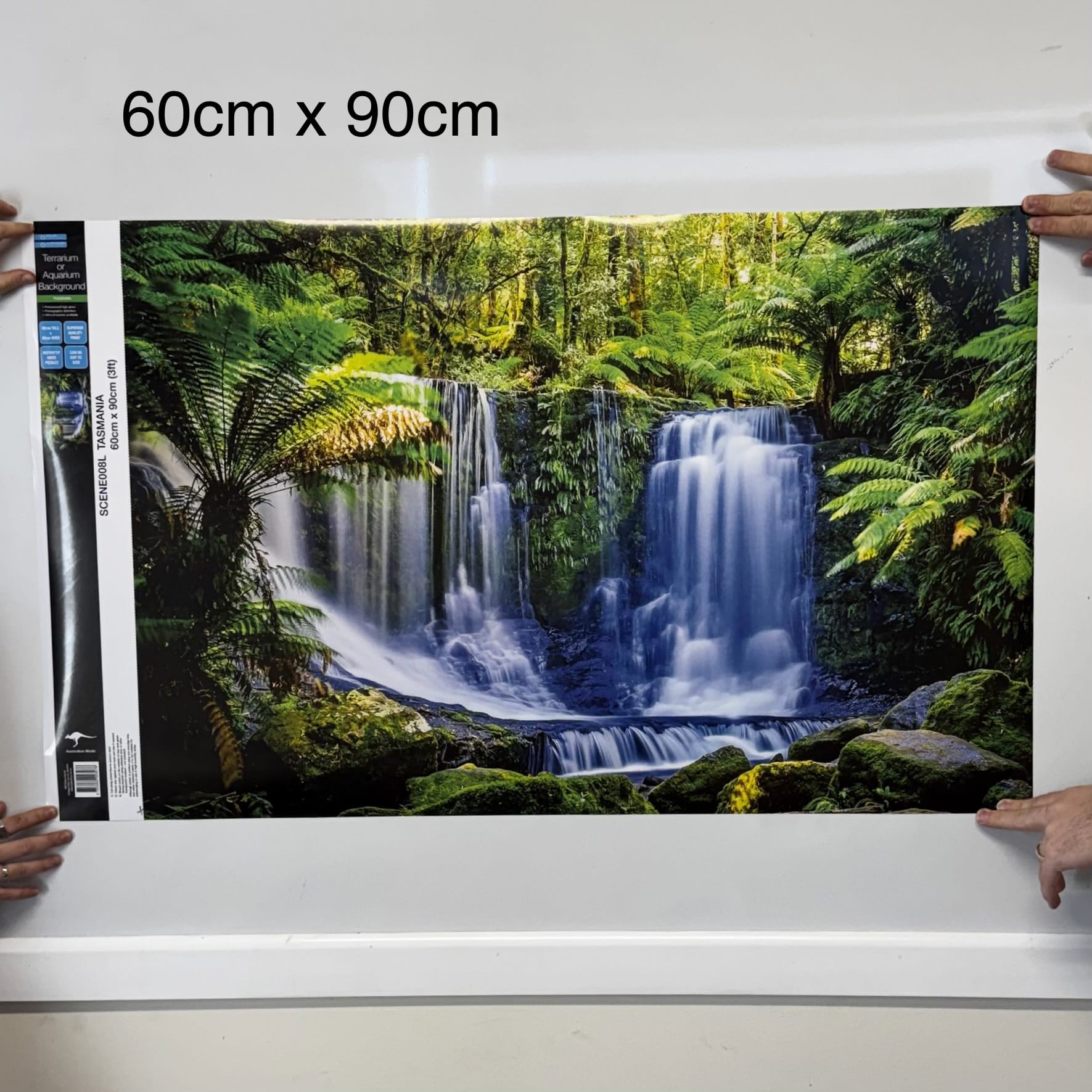 Reptile Realm Aqua Natural Tasmanian Rainforest Waterfall Poster Background