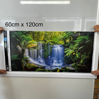 Reptile Realm Aqua Natural Tasmanian Rainforest Waterfall Poster Background
