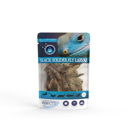 Reptile Realm Black Soldier Fly Larvae