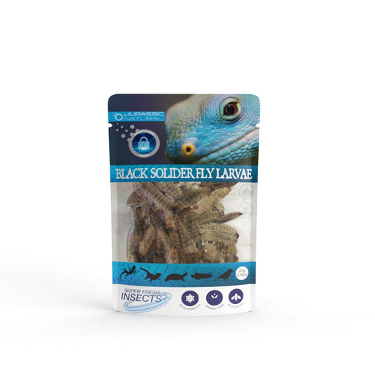 Reptile Realm Black Soldier Fly Larvae