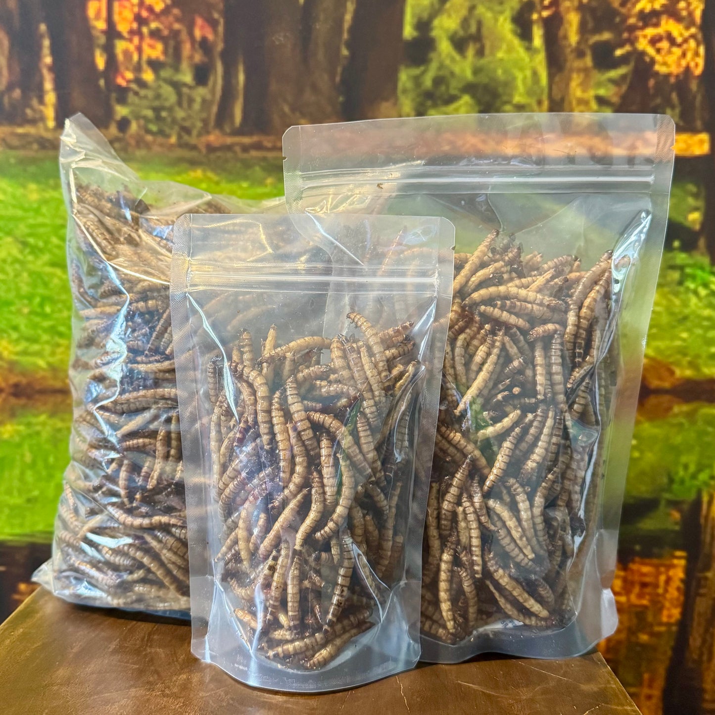 Reptile Realm Dried Insects Dried Giant Mealworms - Zophobas Morio