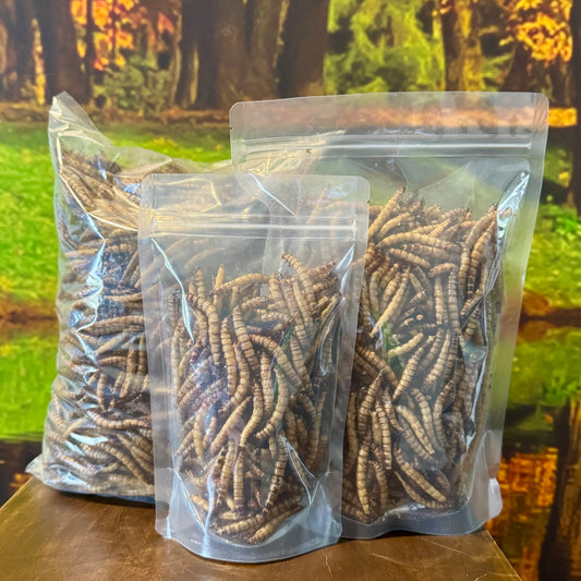 Reptile Realm Dried Insects Dried Giant Mealworms - Zophobas Morio