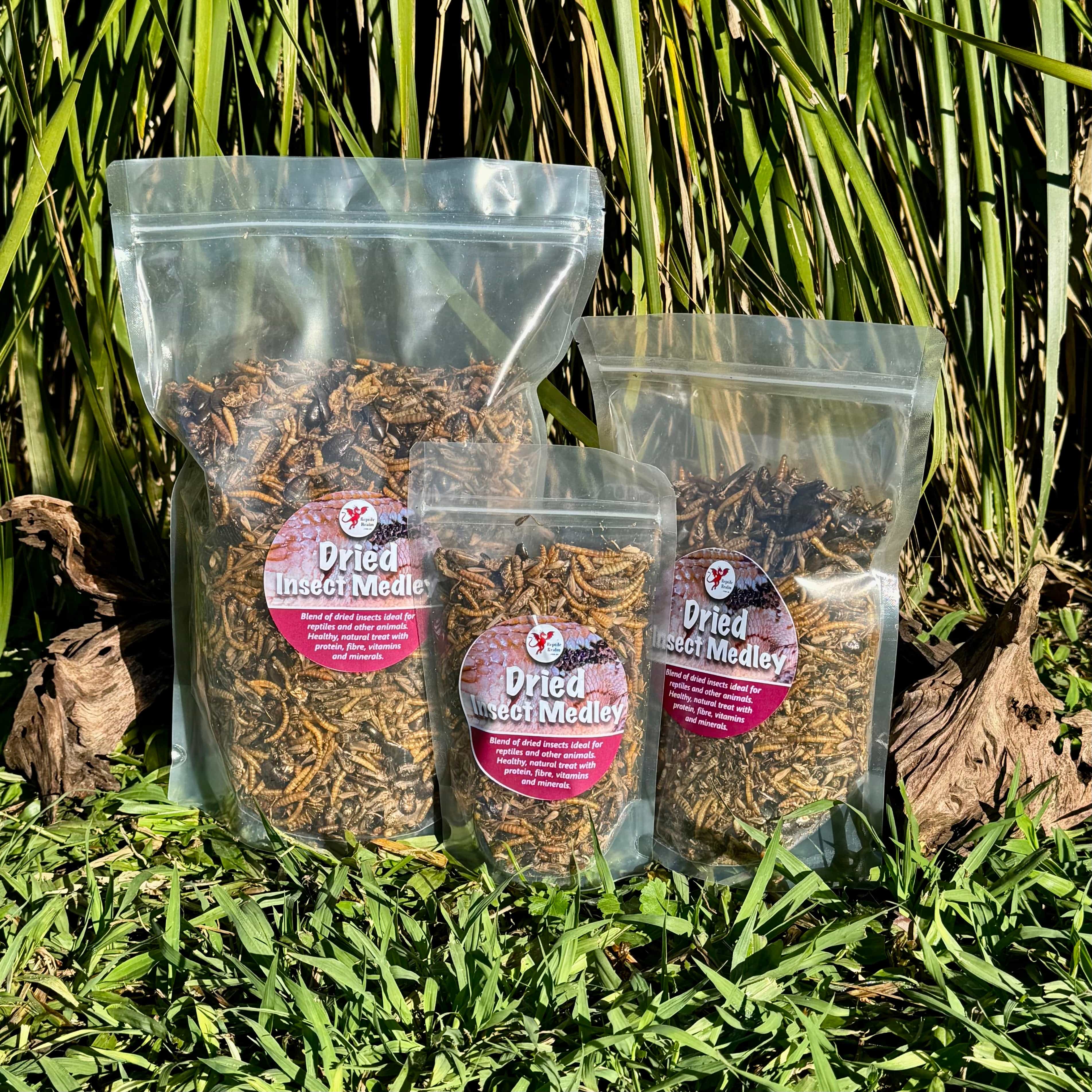 Dried Insect Color Dried Insect Medley - Reptile Realm Australia