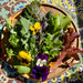 Reptile Realm Fresh Salad Fresh Mixed Salad Tub for Reptiles