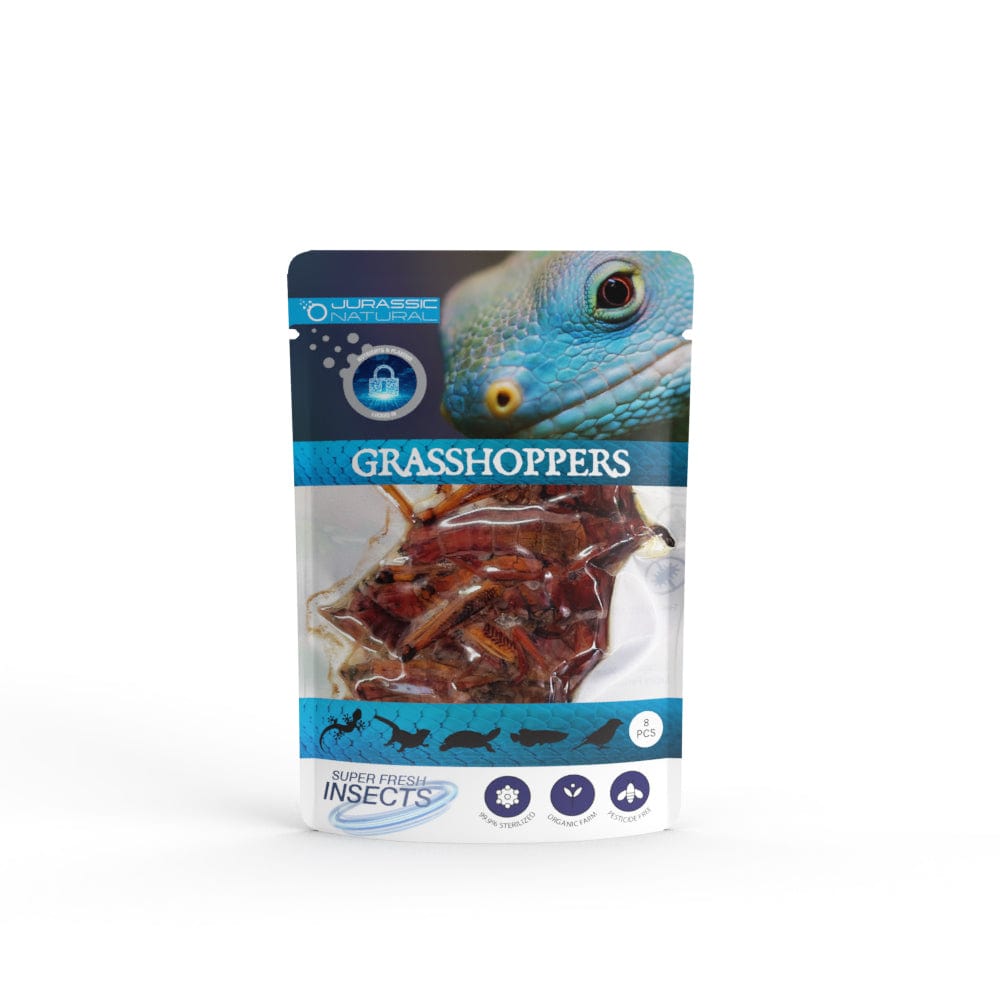 Reptile Realm Grasshoppers