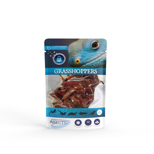 Reptile Realm Grasshoppers