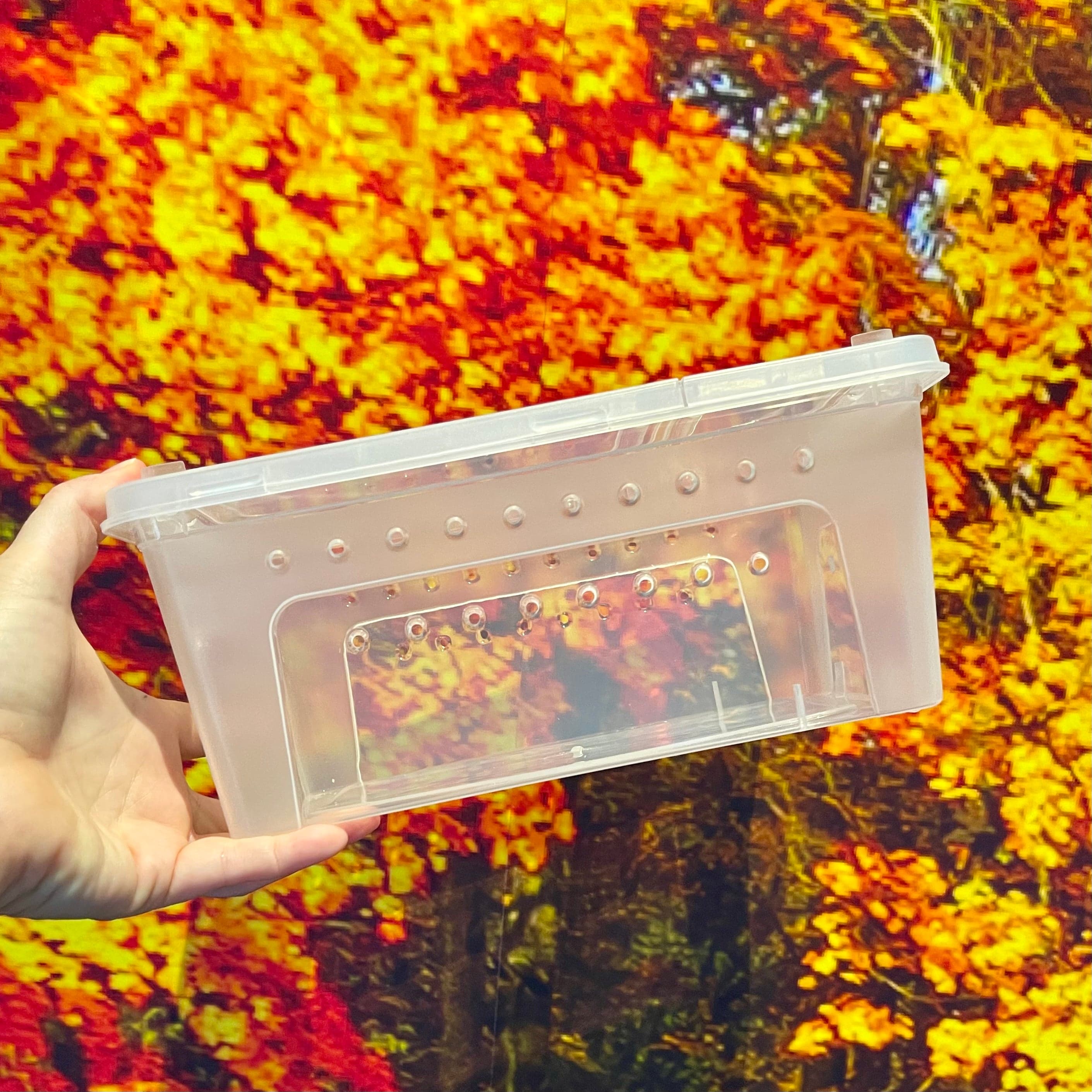 Stackable Hatchling Boxes - Multi-buy – Reptile Realm