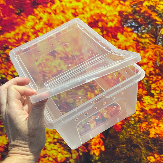 Reptile Realm Insect Care Stackable Hatchling Boxes - Multi-buy