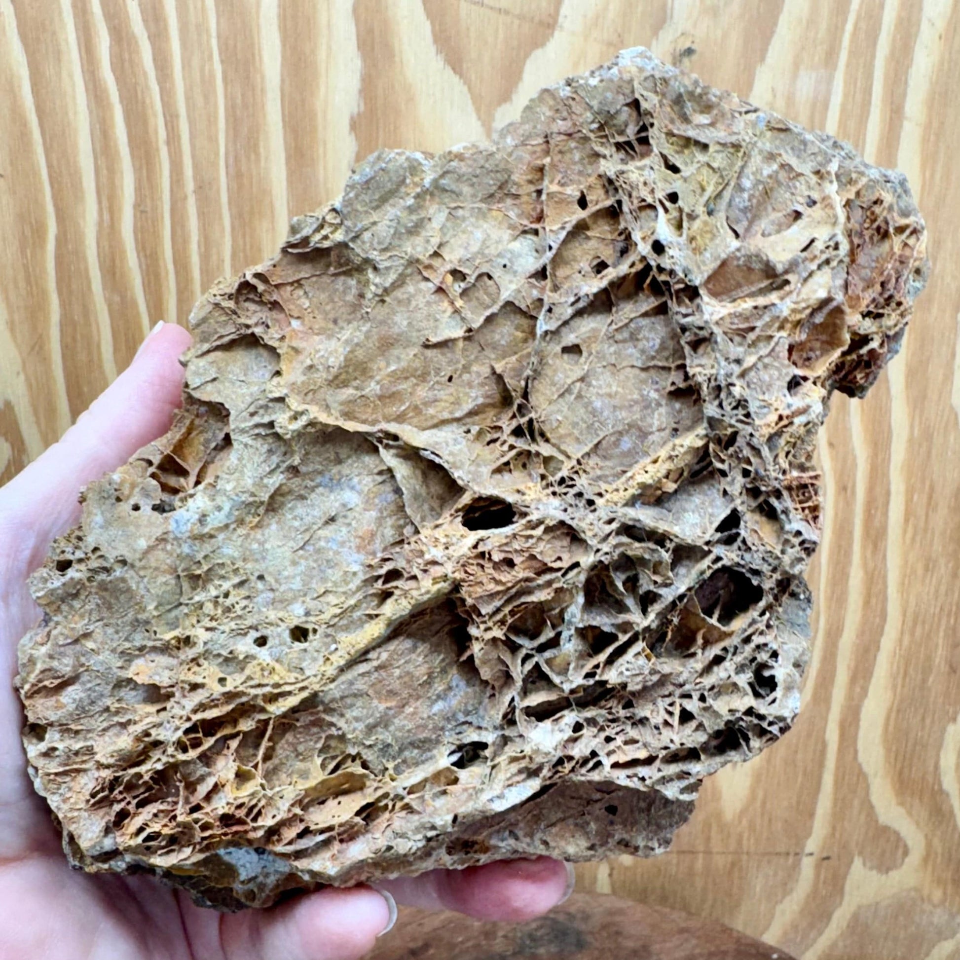 Reptile Realm Natural Rock Natural Basking Rock - Piece A