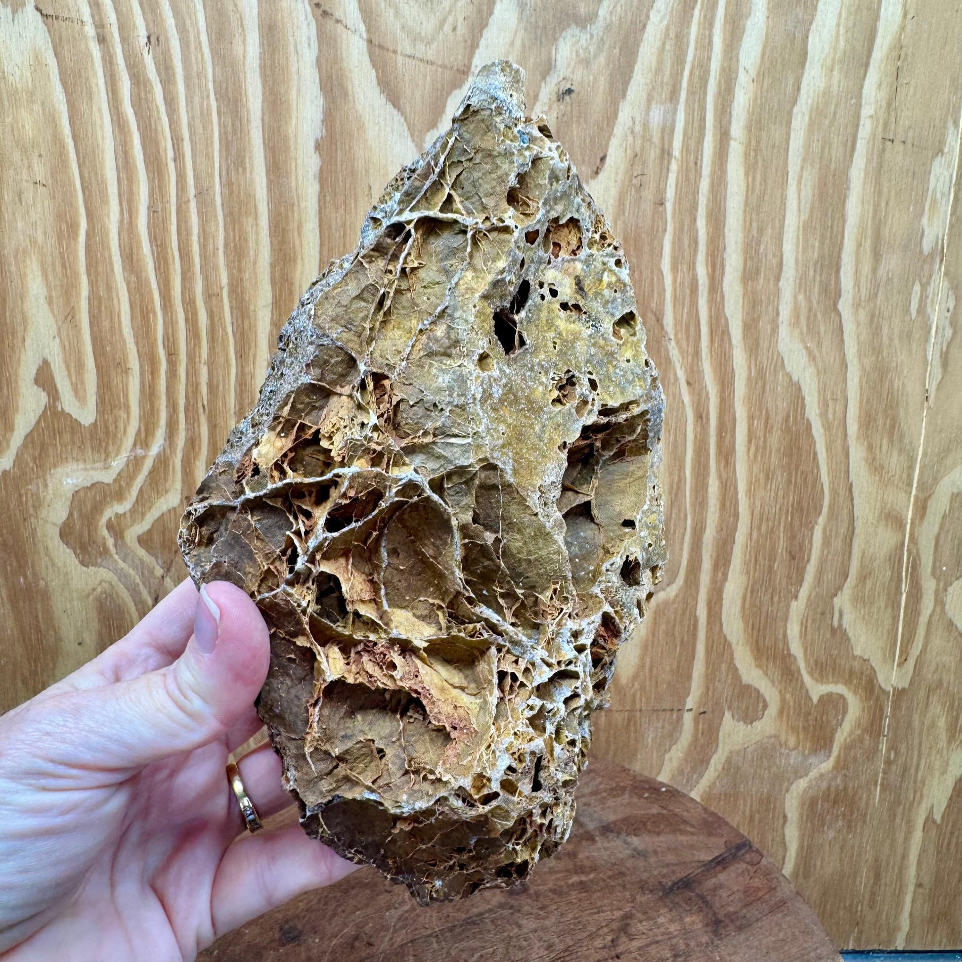 Reptile Realm Natural Rock Natural Basking Rock - Piece A