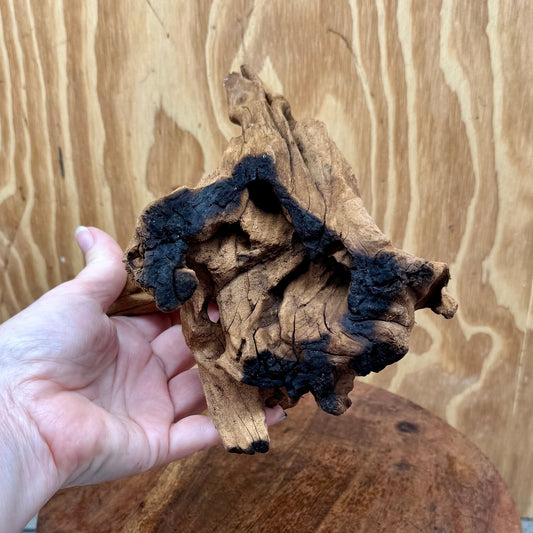 Reptile Realm Natural Wood Natural Wood Piece A