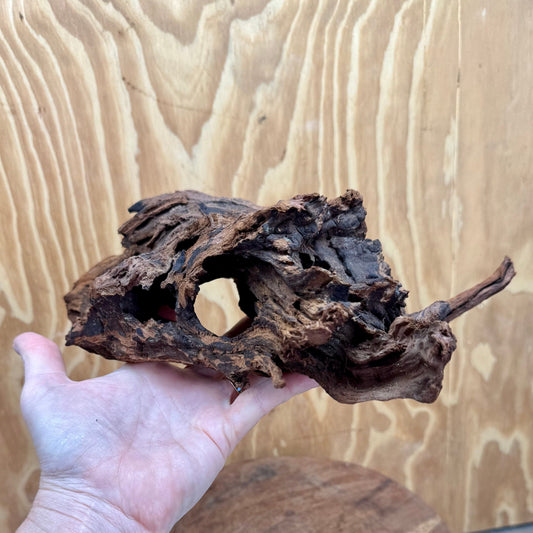 Reptile Realm Natural Wood Natural Wood Piece B