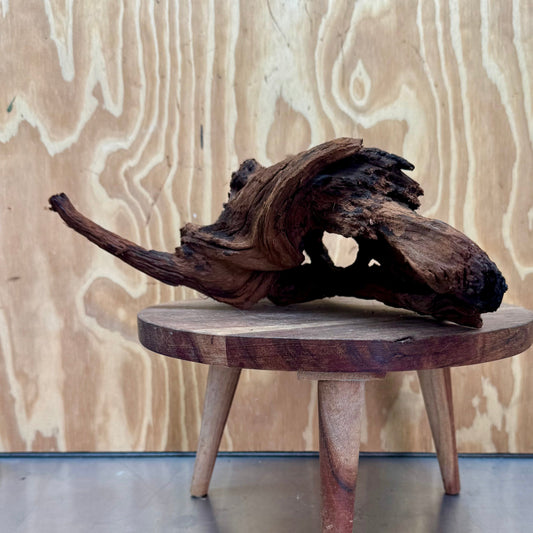 Reptile Realm Natural Wood Natural Wood Piece B