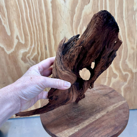 Reptile Realm Natural Wood Natural Wood Piece B