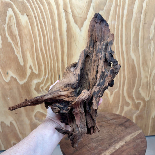 Reptile Realm Natural Wood Natural Wood Piece B