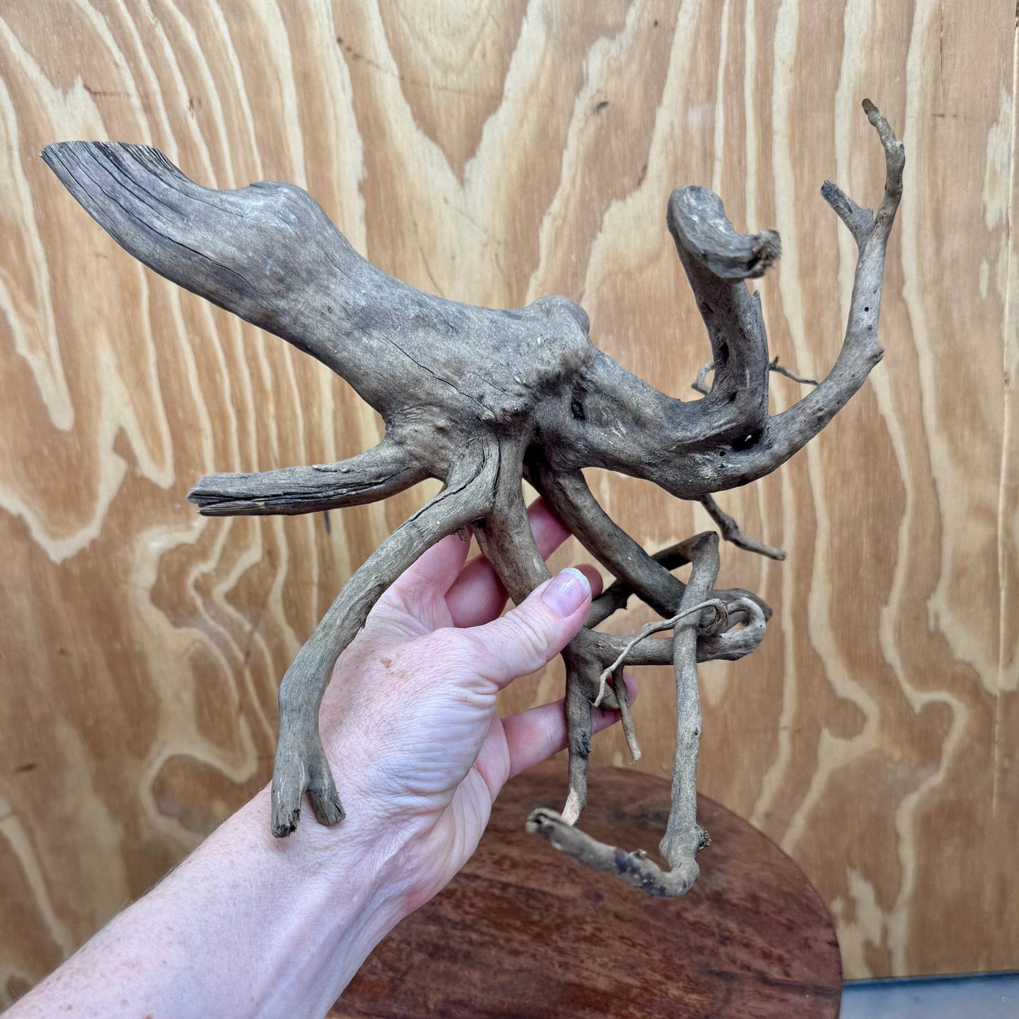 Reptile Realm Natural Wood Natural Wood Piece B
