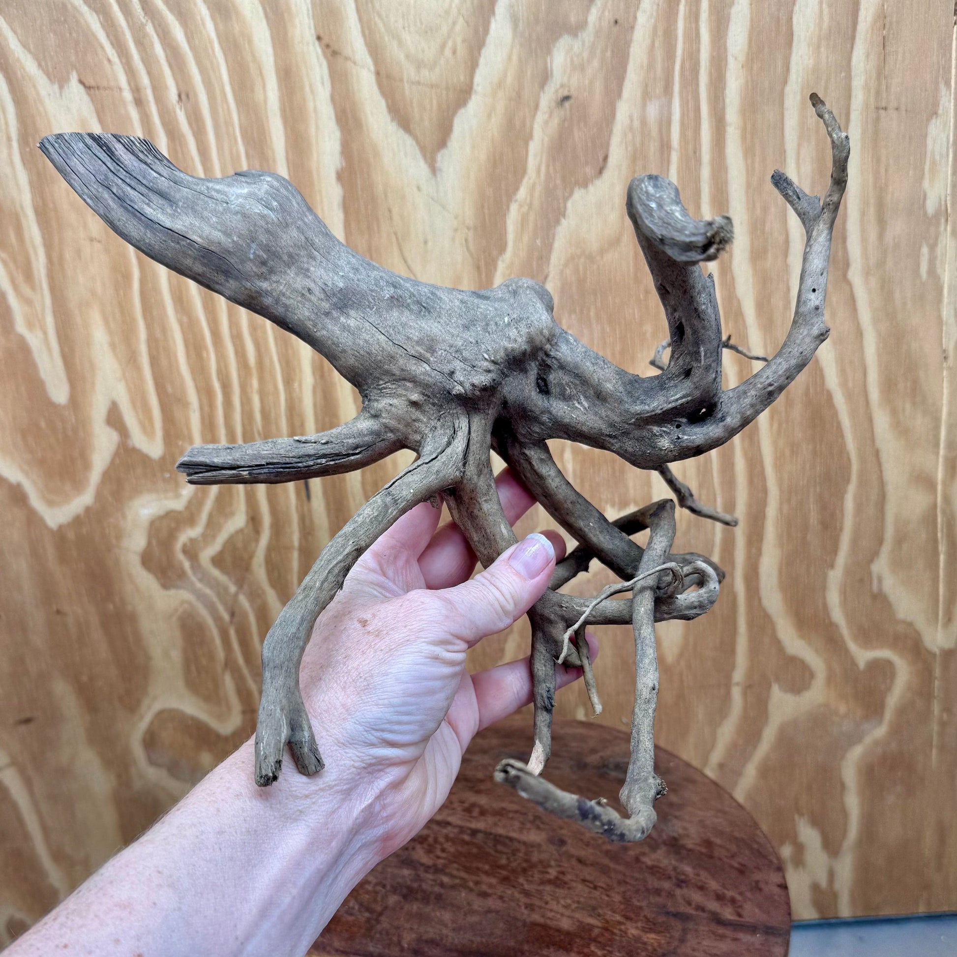 Reptile Realm Natural Wood Natural Wood Piece B