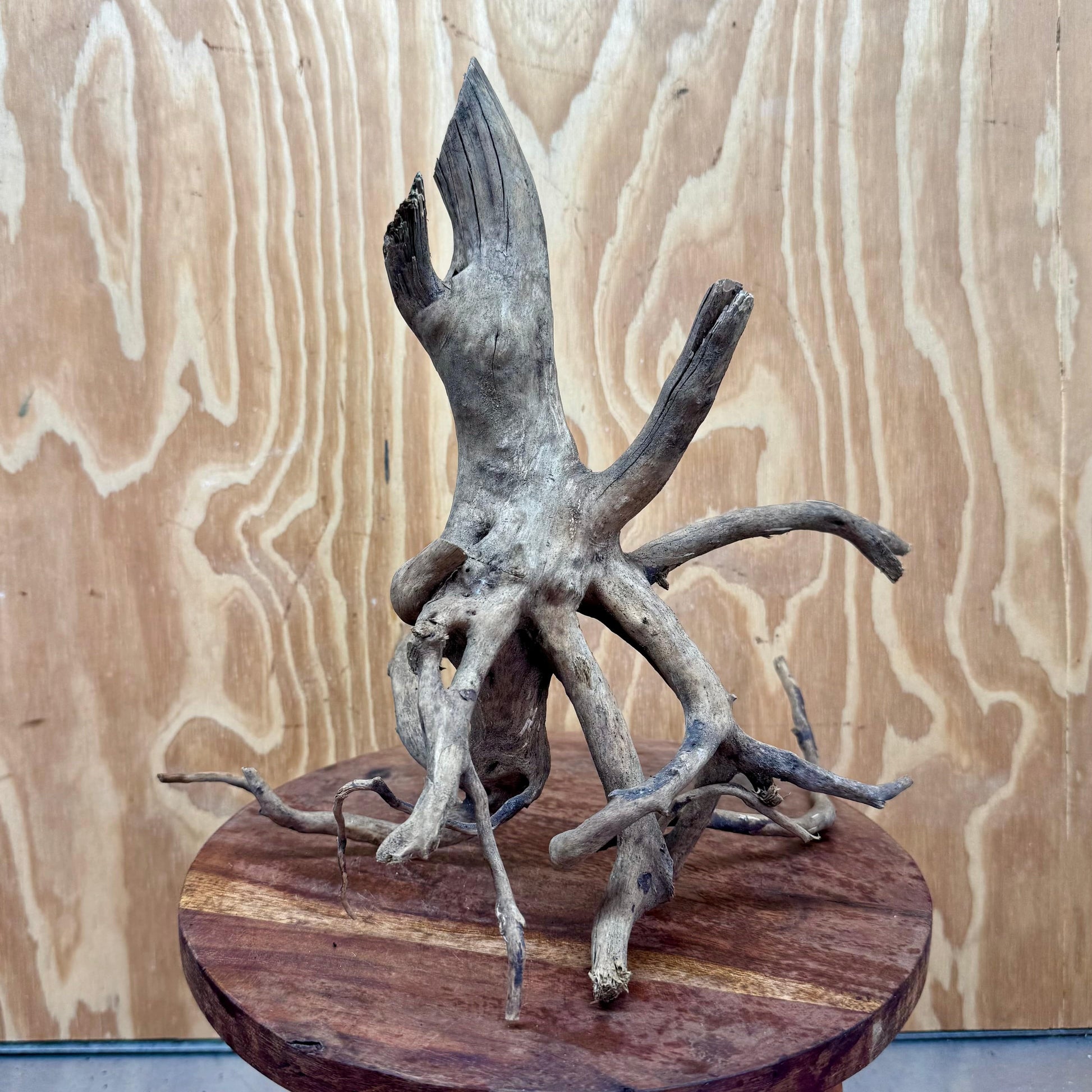 Reptile Realm Natural Wood Natural Wood Piece B