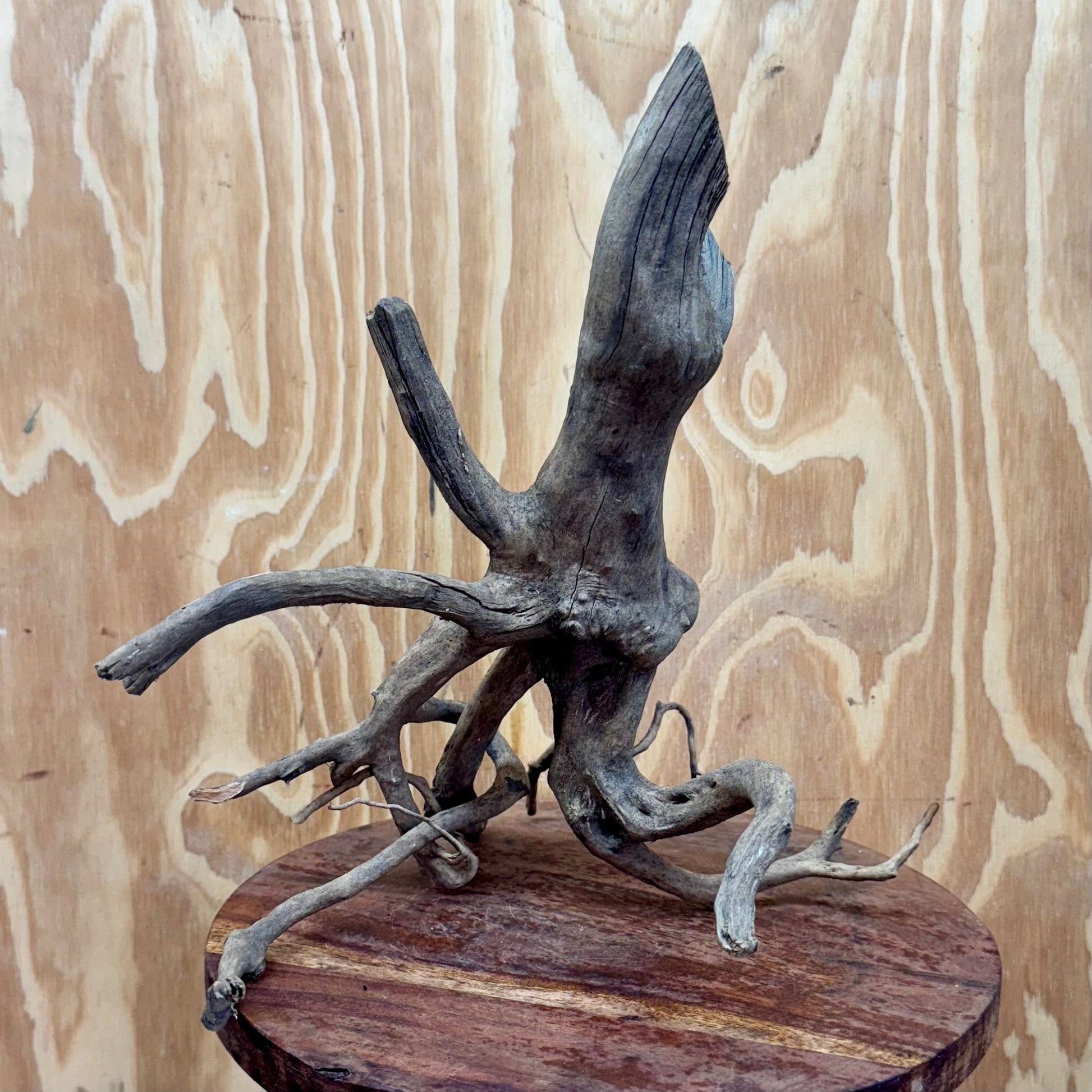 Reptile Realm Natural Wood Natural Wood Piece B