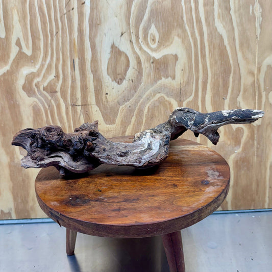 Reptile Realm Natural Wood Natural Wood Piece B