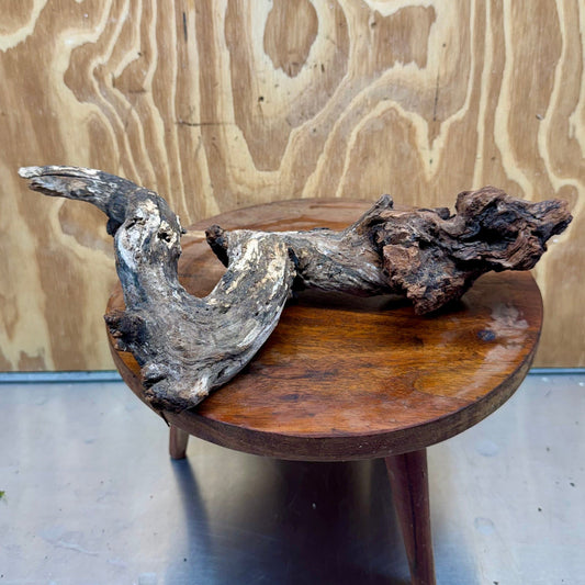 Reptile Realm Natural Wood Natural Wood Piece B