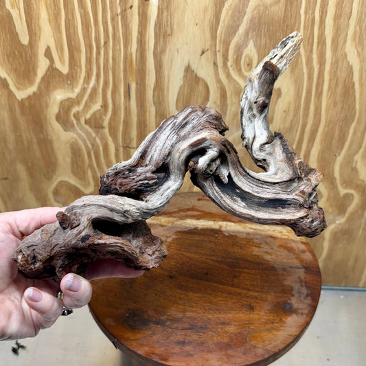 Reptile Realm Natural Wood Natural Wood Piece B