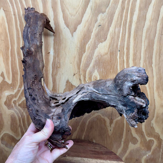 Reptile Realm Natural Wood Natural Wood Piece B