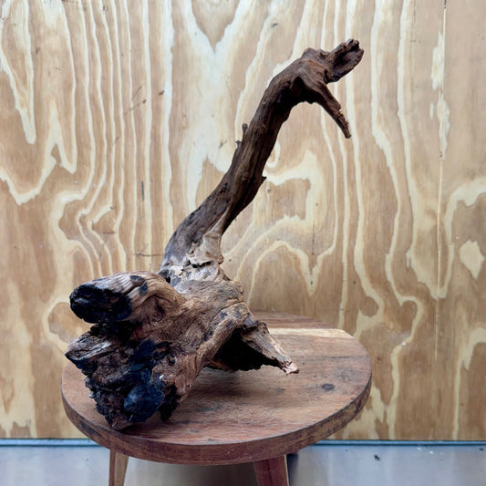 Reptile Realm Natural Wood Natural Wood Piece B