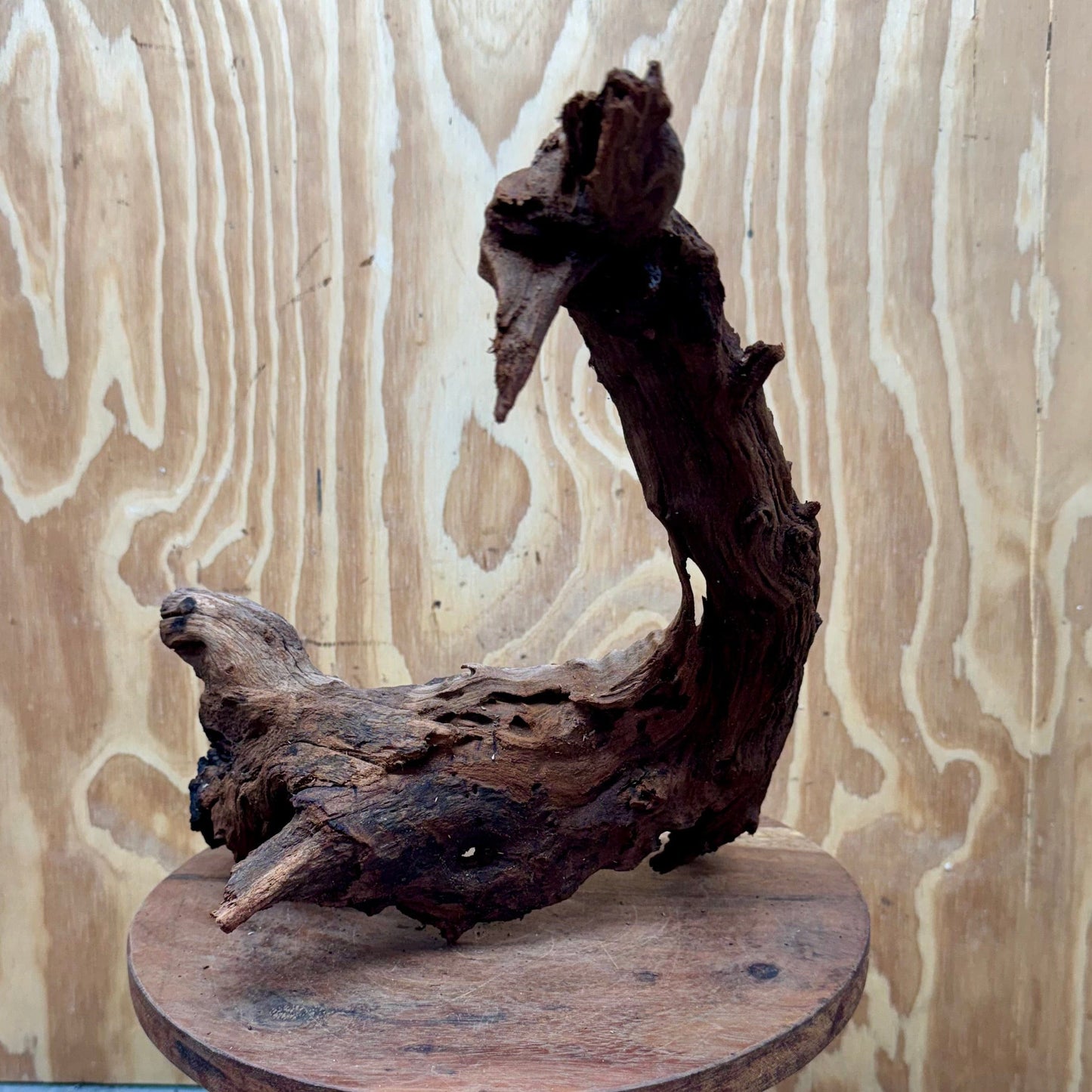 Reptile Realm Natural Wood Natural Wood Piece B