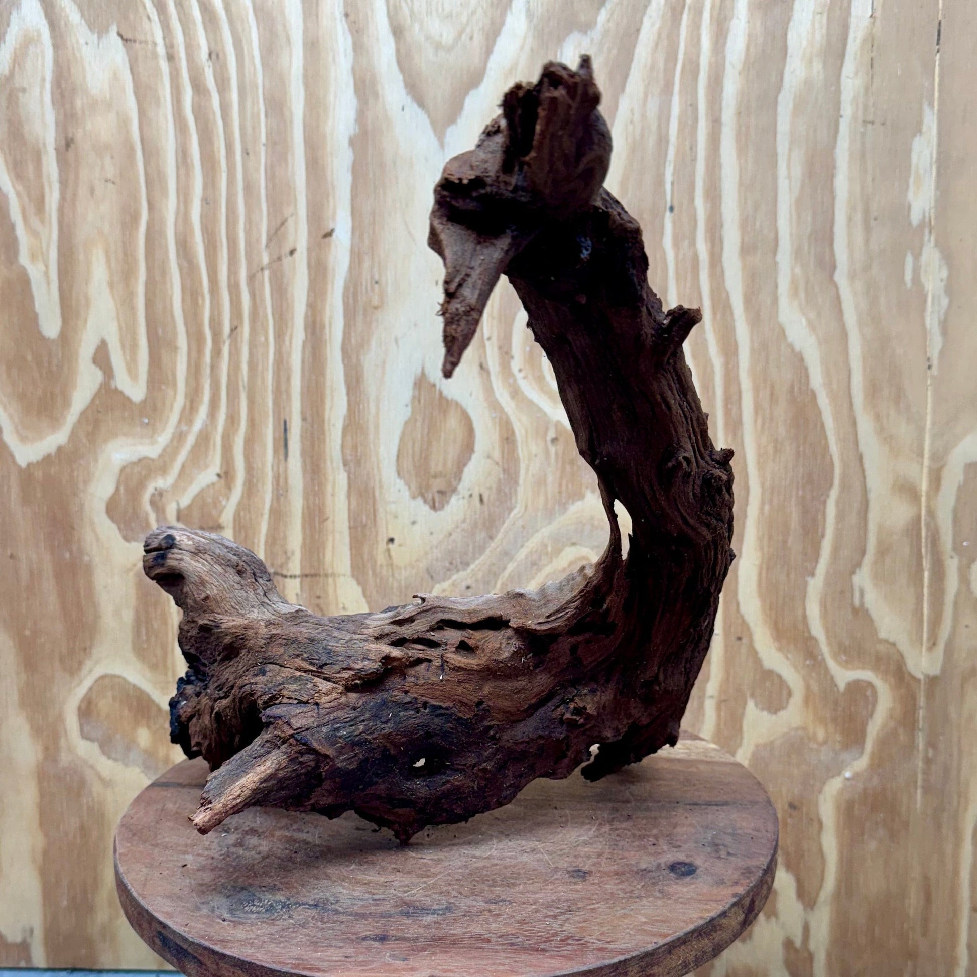 Reptile Realm Natural Wood Natural Wood Piece B