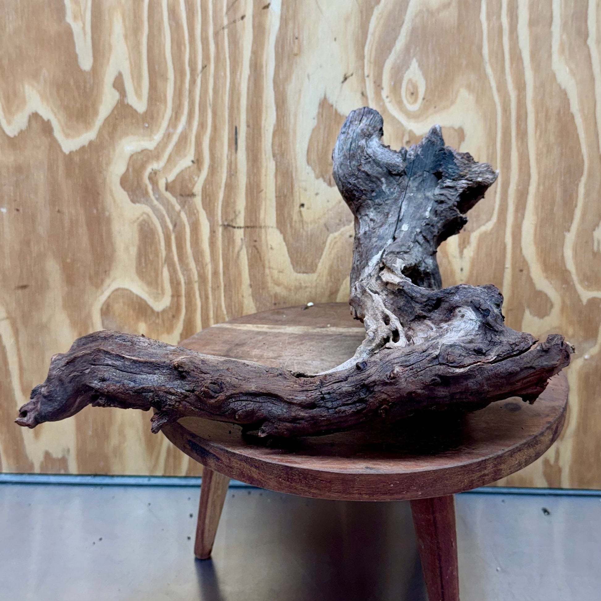 Reptile Realm Natural Wood Natural Wood Piece B