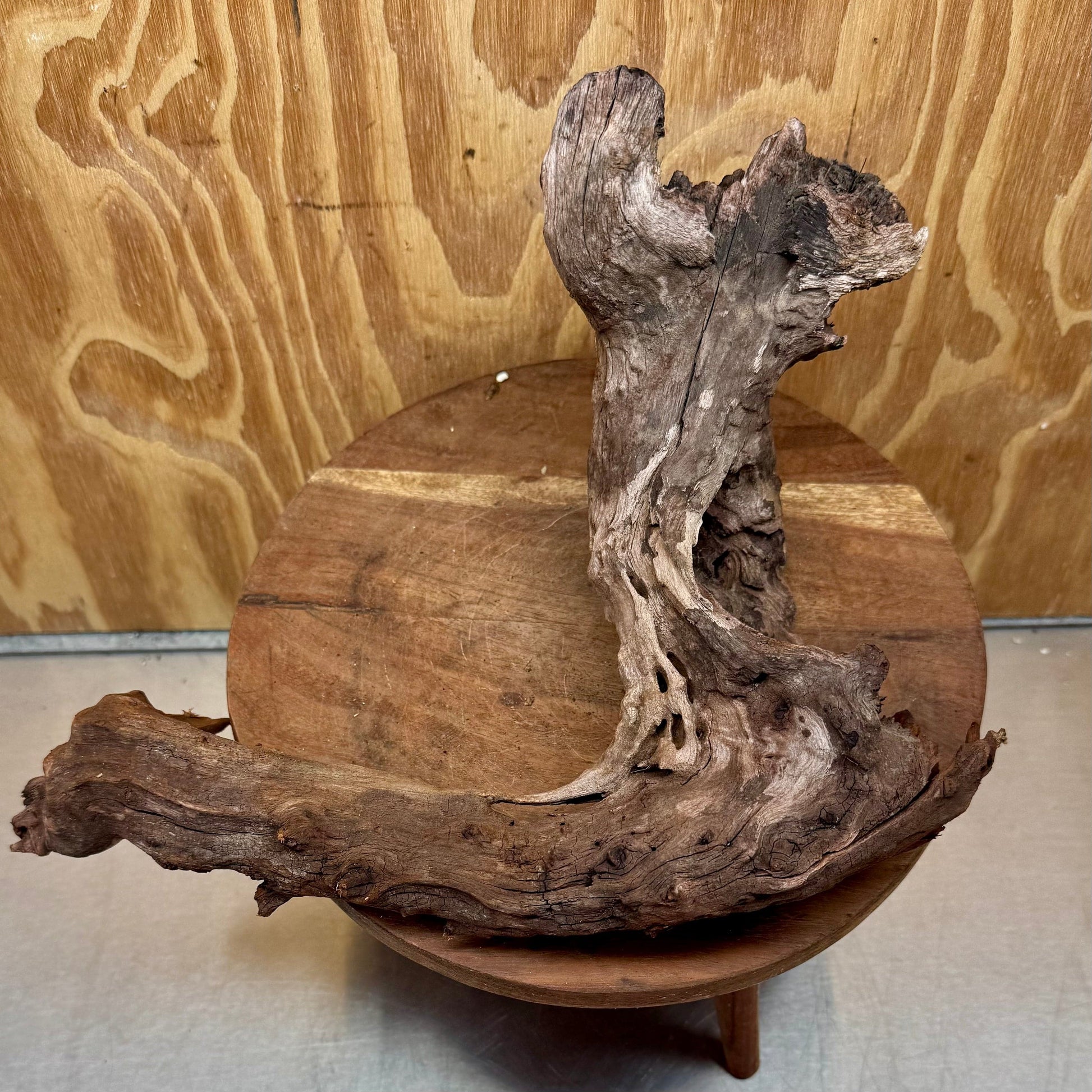 Reptile Realm Natural Wood Natural Wood Piece B