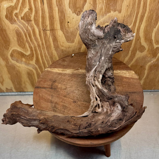 Reptile Realm Natural Wood Natural Wood Piece B