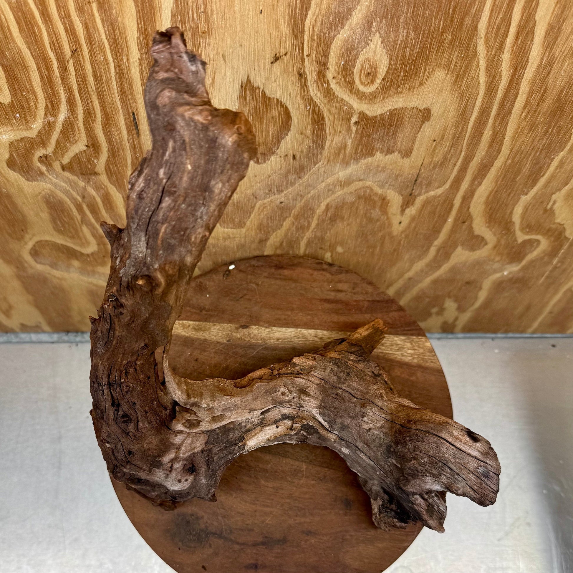 Reptile Realm Natural Wood Natural Wood Piece B